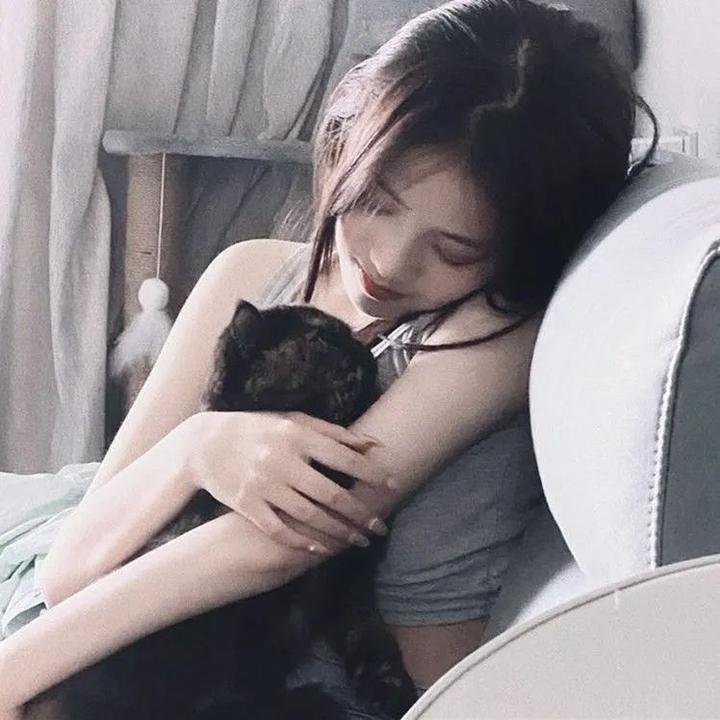 精灵宝可梦：比克提尼与白之英雄莱希拉姆